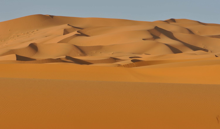 Lições no deserto